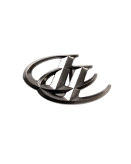 Insane® Belt Buckle