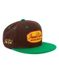 Insane® RetroPatch 9FIFTY Snapback - Green & Brown