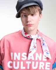 Insane® Culture 26 Washed Tee - Faded Red