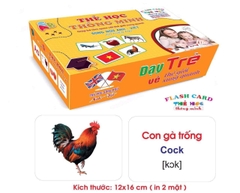 Flashcard A5 14 chủ đề