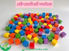 Set 100 khối gỗ vuông