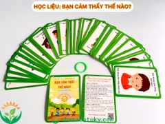 Flashcard Bạn cảm thấy thế nào
