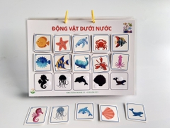 Học liệu Tìm hình với bóng (bóc dán)