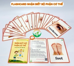 Flashcard bộ phận cơ thể (Tiếng Anh)