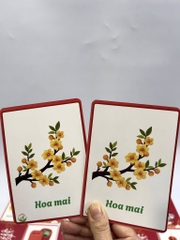 Tìm hình giống nhau (chủ đề Tết)