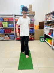 Thảm gai hoa cúc (mẫu nhỏ 1m x 30cm)