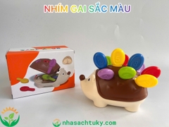 Cắm nhím sắc màu