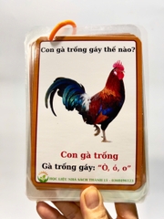Flashcard tiếng kêu con vật
