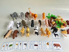 Mô hình con vật 58 chi tiết kèm thẻ tương ứng