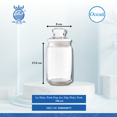 Lọ Thủy Tinh Pop Jar Nắp Thủy Tinh Ocean Thủy Tinh