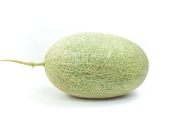 Dưa bạch kim giống Hàn