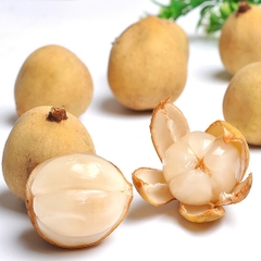 Bòn bon