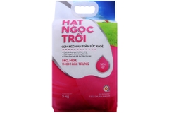 Gạo hạt Ngọc trời tiên nữ 5kg