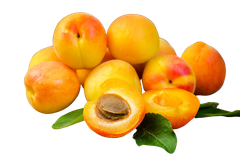 Mơ má đào sơn la