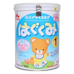 Morinaga 1 850g NK