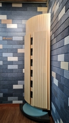 Flexum AZacoustic