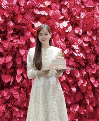 Đầm Ren Dài Tay Dorothy