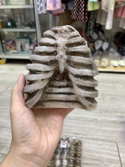 Nến Trang Trí  Halloween