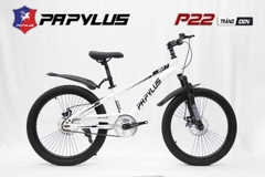 Xe đạp địa hình PAPYLUS P22:  khung Thép cường lực, sơn tĩnh điện, cáp âm khung, Bánh 20, Ngon - Rẻ cho học sinh cấp 1