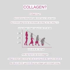 Collagen Peptide phân tử cá Dailish Aqua Collagen Plus / Bổ sung collagen cá và vitamin C và men vi sinh/ Dưỡng da và sức khỏe khỏe đường ruột cùng một lúc!