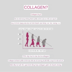 Collagen Peptide phân tử cá Dailish Aqua Collagen Plus