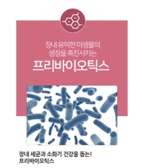 Collagen Peptide phân tử cá Dailish Aqua Collagen Plus / Bổ sung collagen cá và vitamin C và men vi sinh/ Dưỡng da và sức khỏe khỏe đường ruột cùng một lúc!