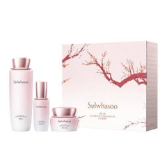 Bộ Sản Phẩm Cao Cấp Chống Lão Hóa Hoa Mai Mơ Xanh Sulwhasoo Bloomstay Vitalizing Skin Care Set ( 3 items)