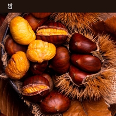 Dầu gội chống rụng tóc tự nhiên có tính axit nhẹ Yonsei University Chestnut Anti Hair Loss Shampoo 500ml