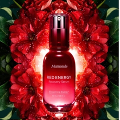 Tinh Chất Phục Hồi Da Mamonde Red Energy Recovery Serum 50ml