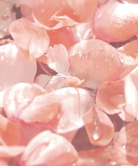 MẶT NẠ SỦI BỌT THẢI ĐỘC THANH LỌC LỖ CHÂN LÔNG PHỤC HỒI DA ORGAHUE VITAMIN ROSE O2 THERAPY BUBLLE MASK