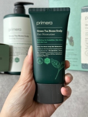 Bộ sản phẩm chăm sóc tóc rụng làm mát da đầu Primera Greentea Biome Scalp Cooling Shampoo + Kem dưỡng ẩm da đầu và tóc + lược gội đầu massage da đầu