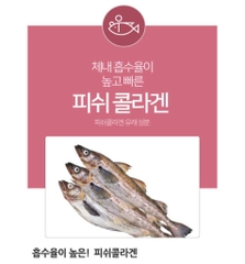 Collagen Peptide phân tử cá Dailish Aqua Collagen Plus / Bổ sung collagen cá và vitamin C và men vi sinh/ Dưỡng da và sức khỏe khỏe đường ruột cùng một lúc!