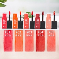 W.lab Magnetic color lip tint #02