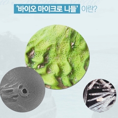 Kem cấy trắng da PP MESO bôi thoa kem dưỡng chứa kim vi sinh Bio Micro Needle tự nhiên tinh khiết dưỡng trắng nâng tông da làm mờ nếp nhăn và chống nhăn dưỡng trắng sâu bên trong da dành cho mọi loại da Three Days Love Whimela Shining Implant Cream 50ml