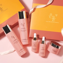 Bộ dưỡng săn chắc da bổ sung collagen Eunyul Collagen Special 5-piece set (Skin + Lotion + Essence + Eye Cream + Cream)