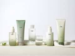 Sữa Rửa Mặt Làm Sạch Sâu Chiết Xuất Ngải Cứu Non Và Đất Sét Hanyul Pure Artemisia  Clay To Foam 170ml