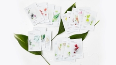 Mặt Nạ Miếng Chiết Xuất Nhân Sâm Innisfree My Real Squeeze Mask #Ginseng