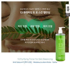 Nước cân bằng thanh lọc da dưỡng ẩm cân bằng da chăm sóc lỗ chân lông to Erty 13 Purifying Toner for Skin Balancing 480ml