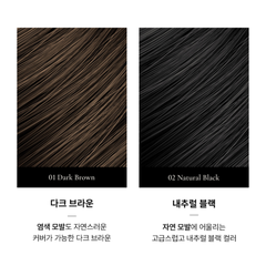 Phấn che khuyết điểm tóc thuần chay giúp che phủ tóc hói và phủ nhuộm tóc bạc VINNE All Cover Perfect Hair Cushion Stick 5,1g