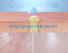Mặt nạ dạng thạch dẻo làm dịu da phục hồi da Dr.Sante Azulene Soother Modeling Pack