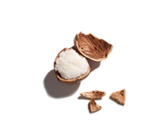 Kem Dưỡng Da Tay Và Móng Caudalie Hand And Nail Cream Nourrit Anti-oxydant 30ml (Chai Trắng)