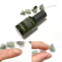 Tinh Chất Chiết Xuất Hạt Mầm Primera Super Sprout Serum