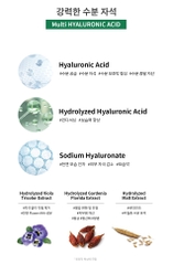Tinh chất hỗ trợ điều trị mụn VEMONTES AXCNE Booster Ampoule Kit Agent 1 Agent 2 3ml