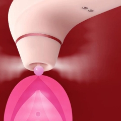 Máy rung âm đạo 2 đầu rung và hút kích thích nữ giới Electric Sucking Massager