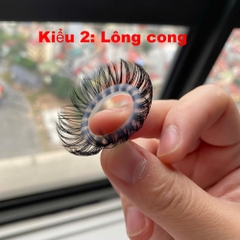 Vòng đeo lông ngựa - Vòng đeo râu rồng giá rẻ
