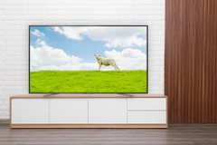 Android Tivi Sony 4K 75 inch KD-75X8000G