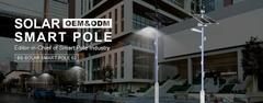 Cột Thông Minh Năng Lượng Mặt Trời ZBS-SSP-02 ZALAA ODM/OEM cho Smart City