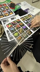 Đèn LED Bông hoa Bồ Công Anh Dandelion đường kính 1.5m, nhiều màu RGB - Giải pháp chiếu sáng cảnh quan kiểu mới