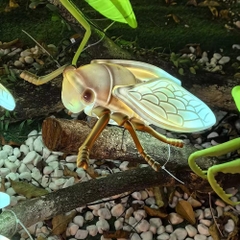 Đèn LED ZALAA Mô Hình Ve Sầu Simulation Golden Cicada Light cho Vườn Ánh Sáng / Light Garden
