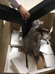 Đèn LED thả trần hình chữ Y mã ZPTTY ZALAA